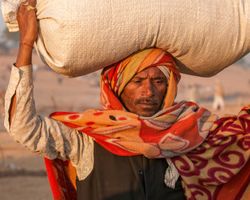 Indien: Rajasthan (Alltag): Bild 14
