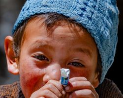 Indien: Ladakh – Zanskar (Menschenbilder): Bild 3