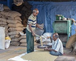 Indien: Rajasthan (Alltag): Bild 10