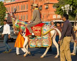 Indien: Rajasthan (Feste): Bild 11