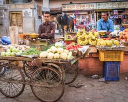Indien: Rajasthan (Alltag): Bild 23