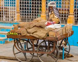 Indien: Rajasthan (Alltag): Bild 20