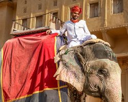 Indien: Rajasthan (Feste): Bild 8