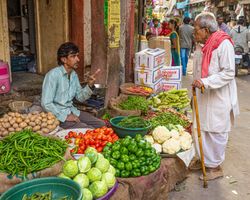 Indien: Rajasthan (Alltag): Bild 24