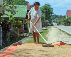 Die Philippinen (Alltagsleben): Bild 30