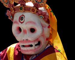 Indien: Ladakh – Zanskar (Klosterfest in Zanskar): Bild 17