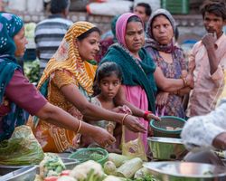Indien: Rajasthan (Alltag): Bild 22