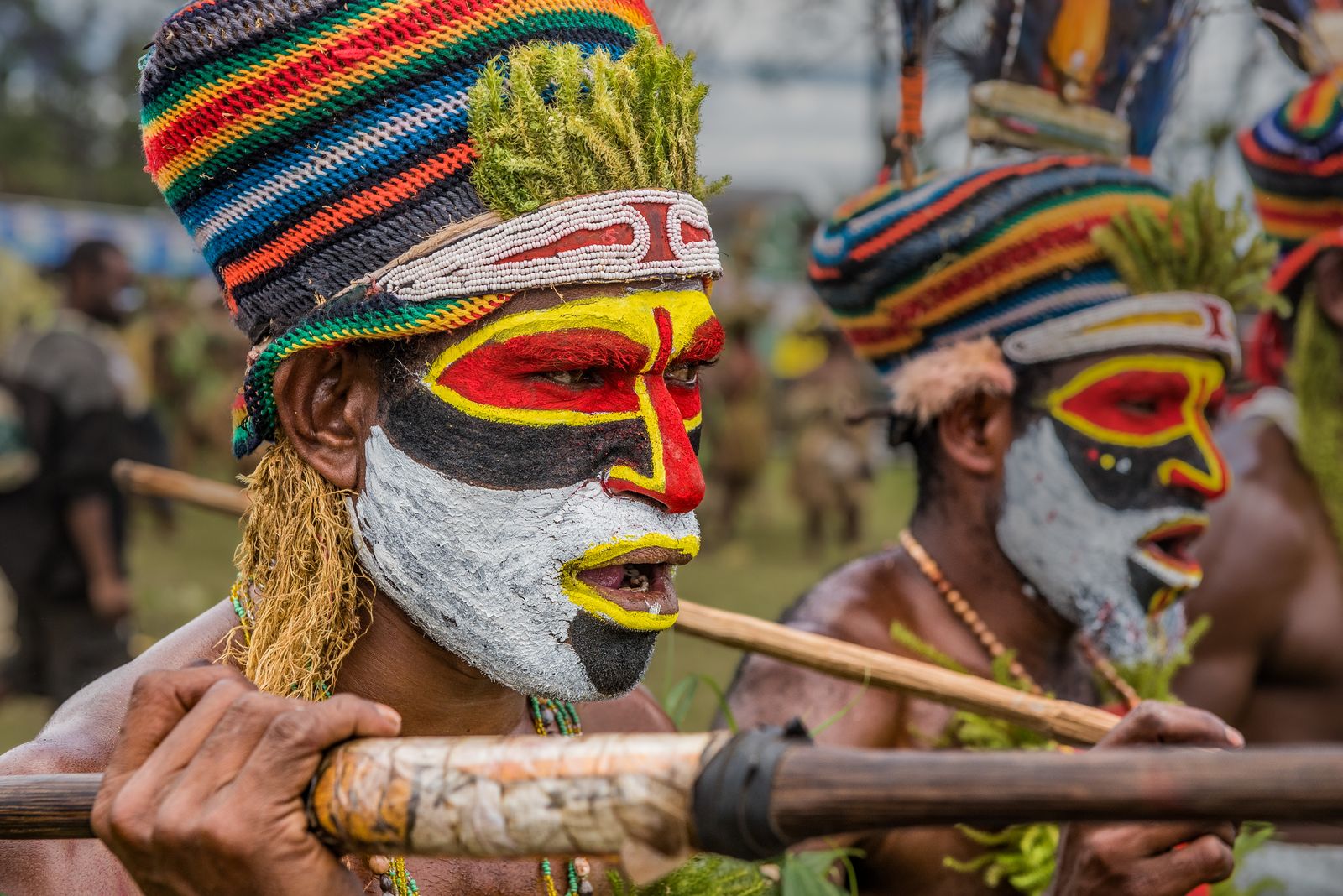 Cover-Bild von Papua-Neuguinea