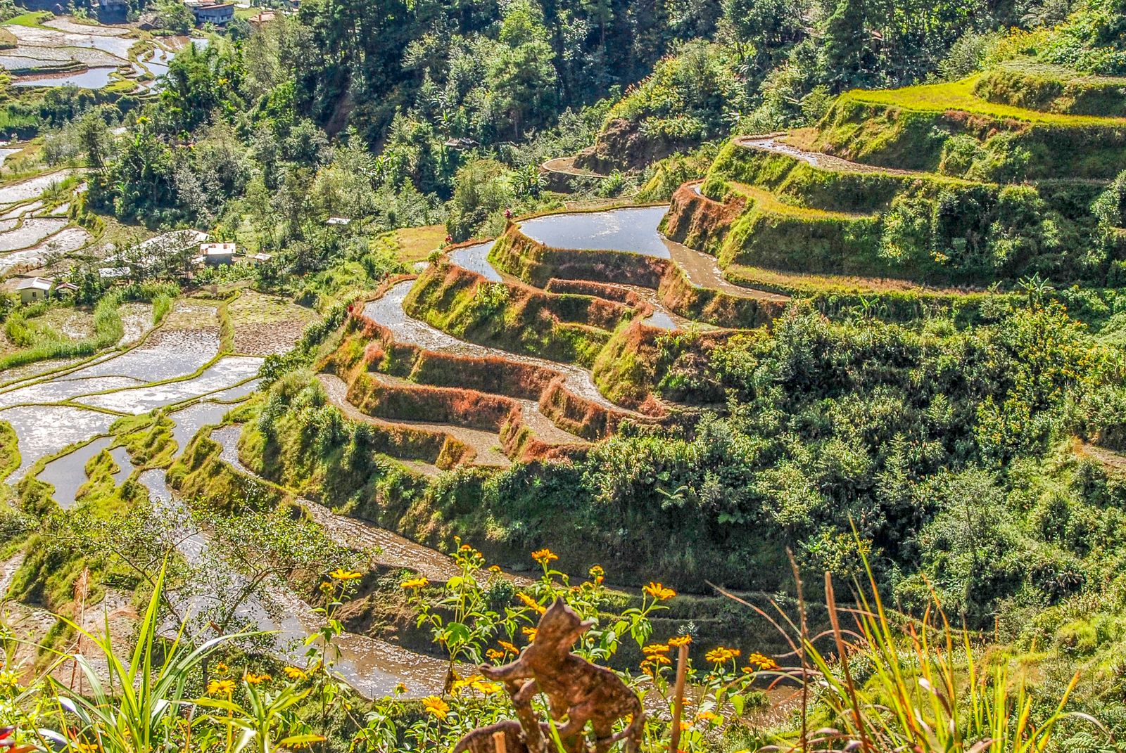 Cover-Bild von Die Philippinen