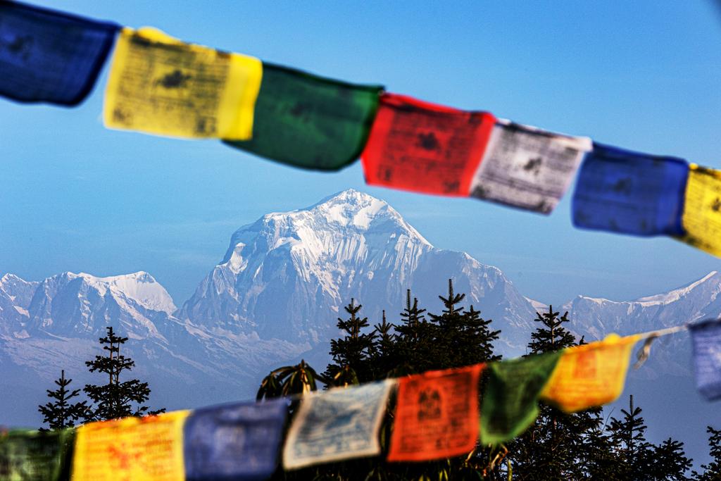 Cover-Bild von Nepal