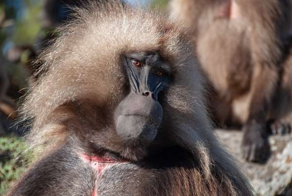 Äthiopien (Norden): Bild 27