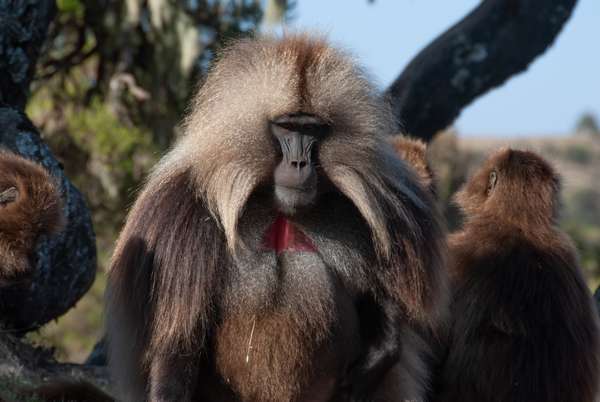 Äthiopien (Norden): Bild 28