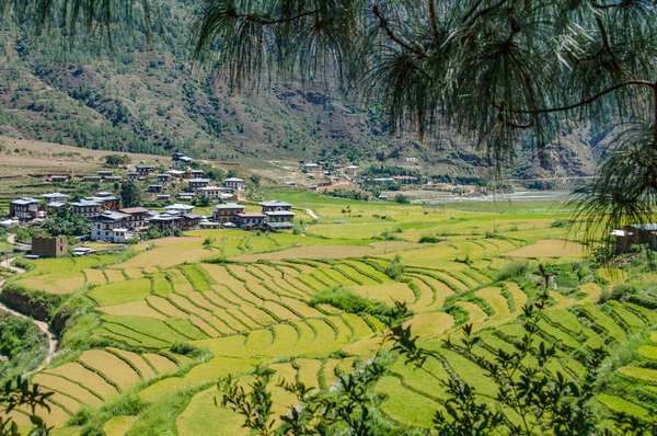 Cover-Bild 1 von Bhutan