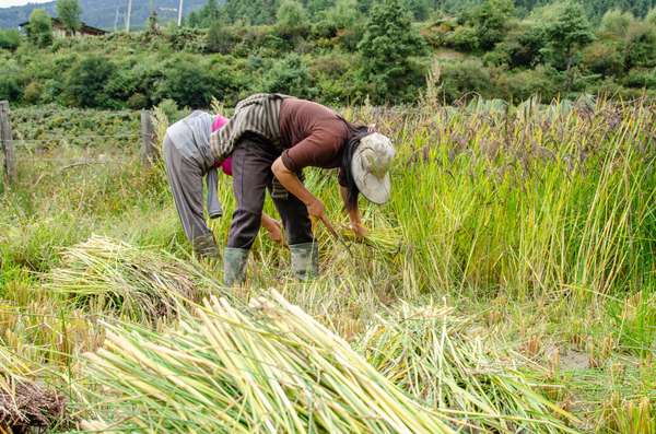 Cover-Bild 2 von Bhutan
