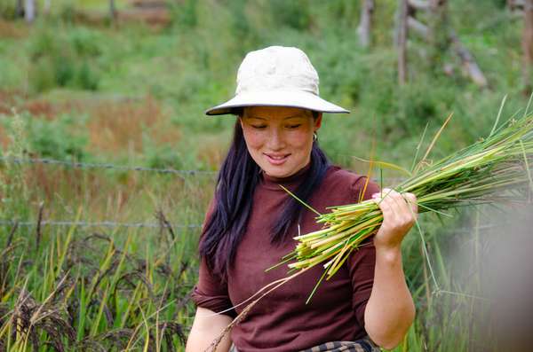 Bhutan (Alltag): Bild 3