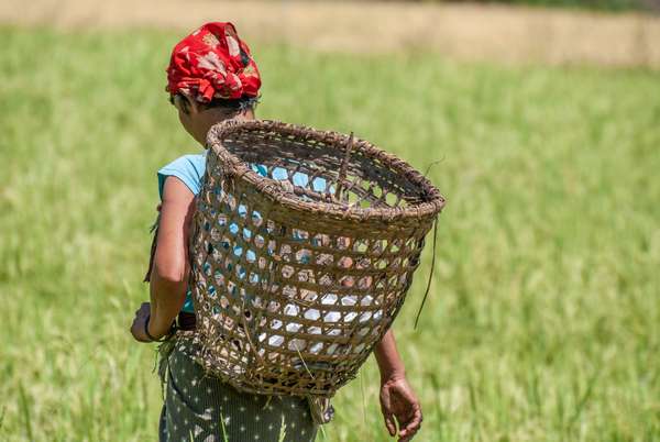 Bhutan (Alltag): Bild 6