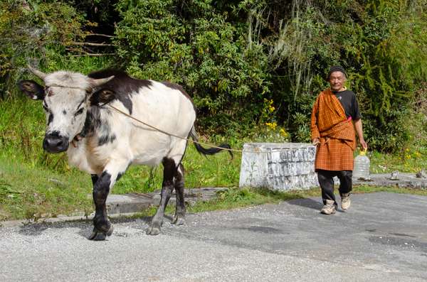 Bhutan (Alltag): Bild 8