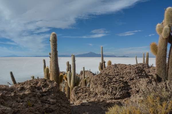 Bolivien (Städte – Landschaften – Alltag): Bild 15