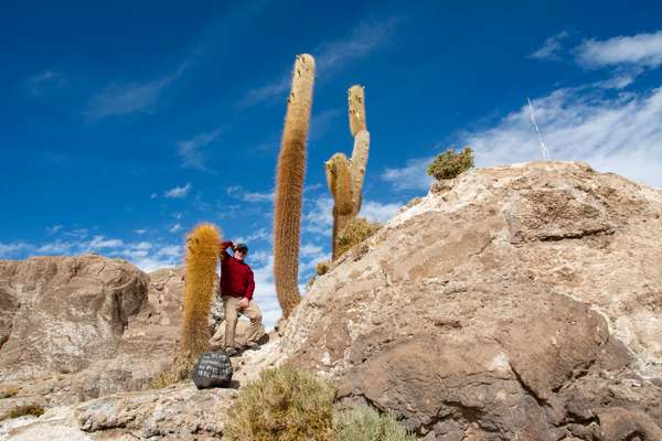 Bolivien (Städte – Landschaften – Alltag): Bild 16