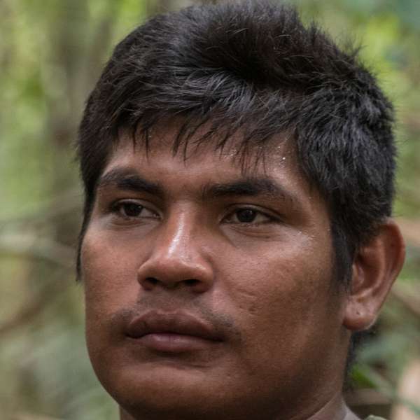 Cover-Bild 5 von Brasilien