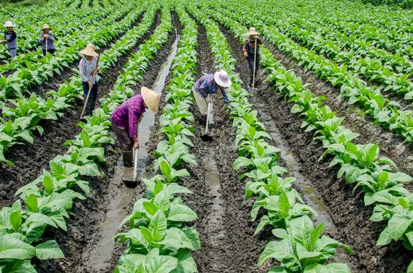 Cover-Bild 1 von China