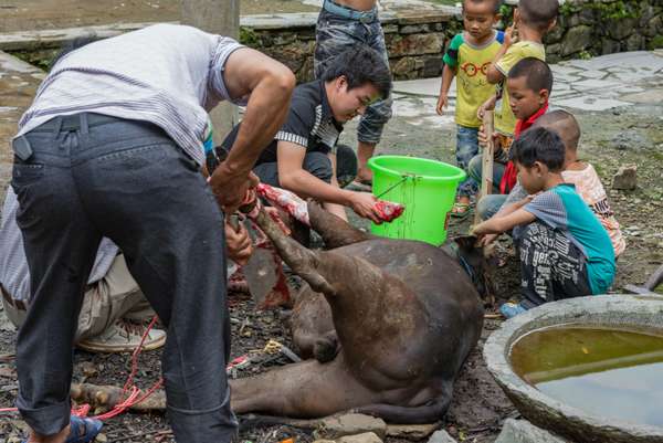 China (Alltag): Bild 24