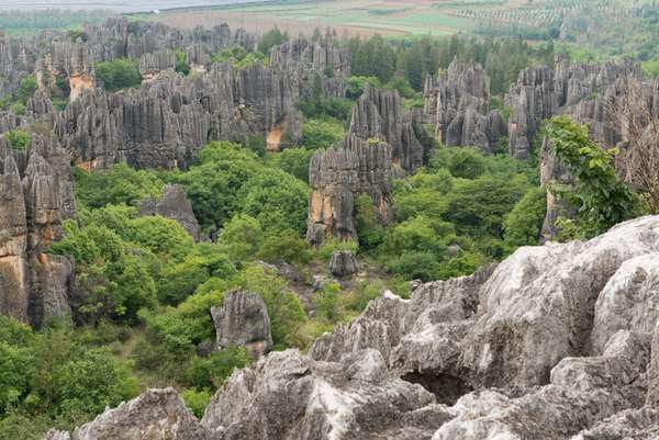 Cover-Bild 3 von China