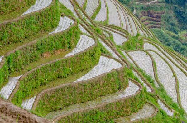 China (Landschaften): Bild 6