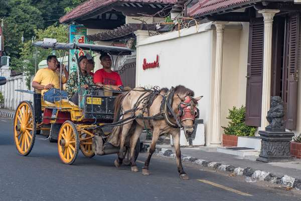 Cover-Bild 1 von Indonesien