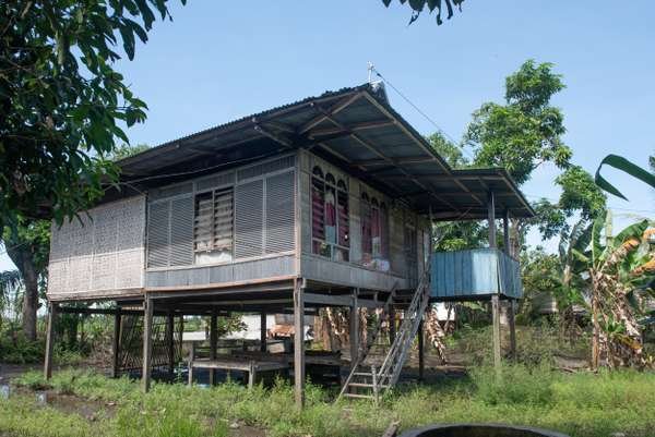 Indonesien (Sulawesi): Bild 4