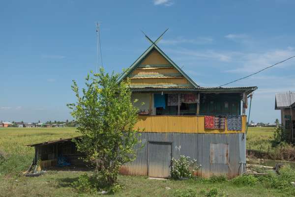 Indonesien (Sulawesi): Bild 5