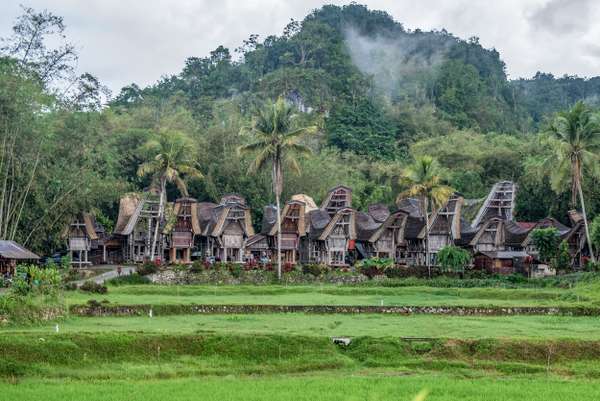 Indonesien (Sulawesi): Bild 6