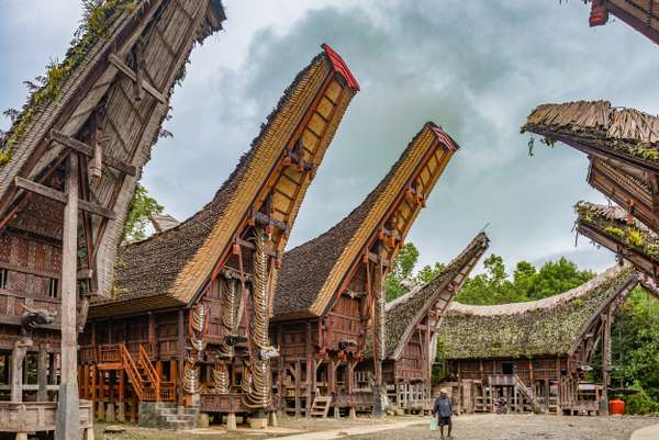 Indonesien (Sulawesi): Bild 7