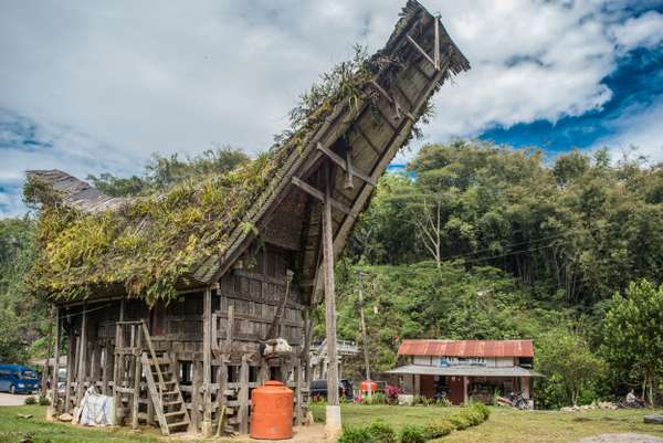 Indonesien (Sulawesi): Bild 8