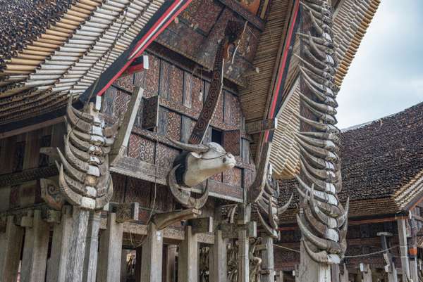 Indonesien (Sulawesi): Bild 10