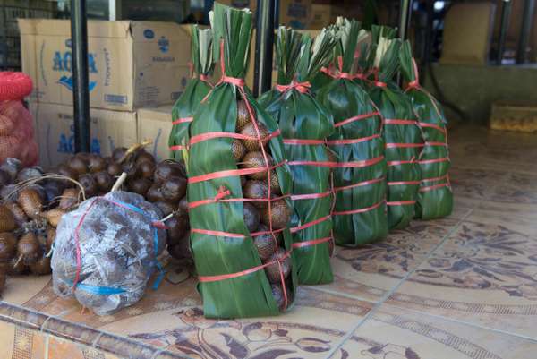 Indonesien (Sulawesi): Bild 16