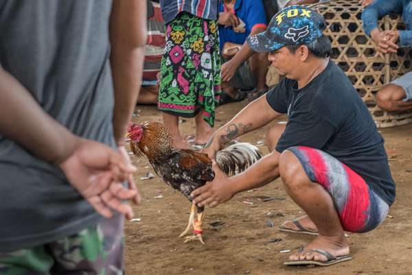 Indonesien (Bali): Bild 8