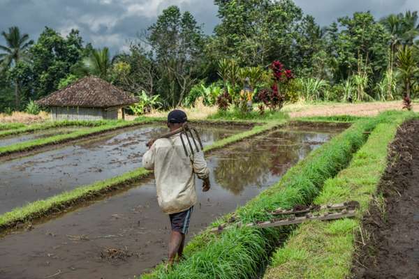 Indonesien (Landschaften): Bild 2