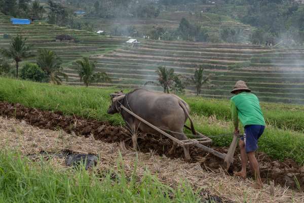 Indonesien (Landschaften): Bild 4