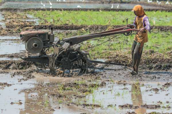 Indonesien (Landschaften): Bild 5
