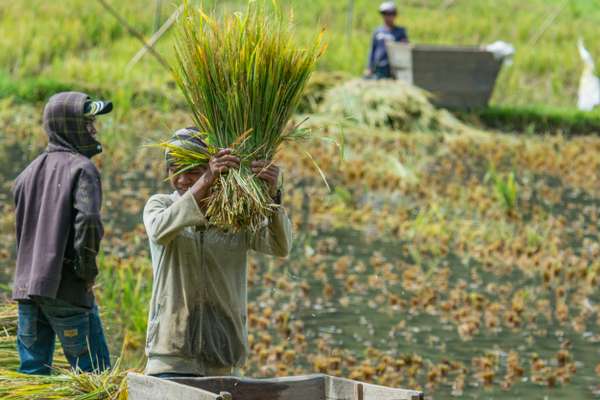 Indonesien (Landschaften): Bild 12