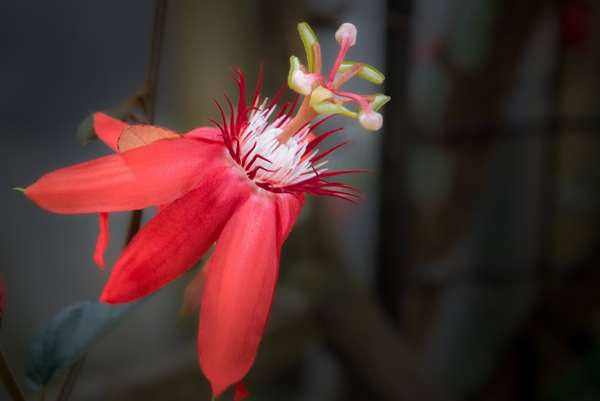 Indonesien (Landschaften): Bild 13