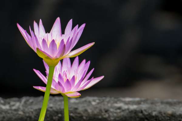 Indonesien (Landschaften): Bild 14