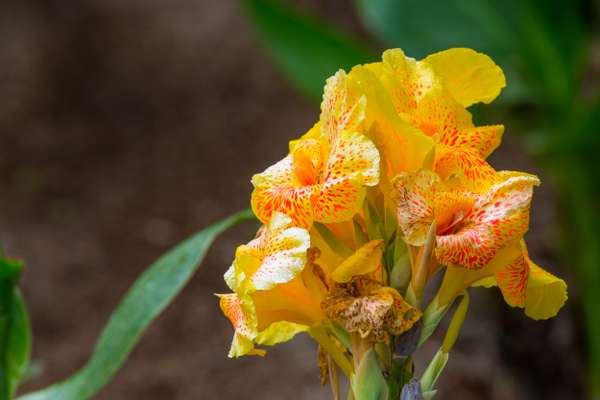 Indonesien (Landschaften): Bild 15