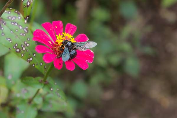 Indonesien (Landschaften): Bild 17