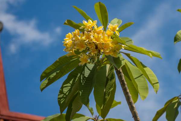 Indonesien (Landschaften): Bild 22