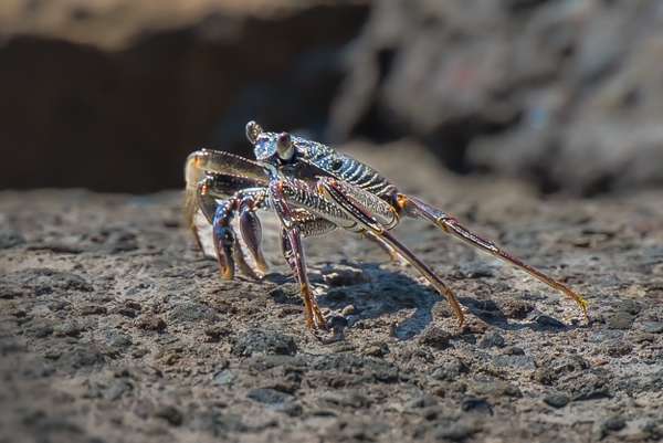 Indonesien (Landschaften): Bild 23