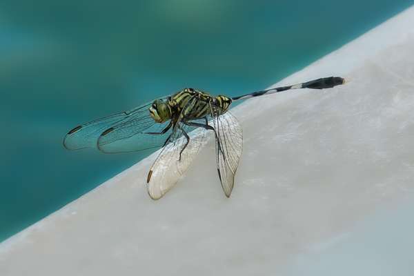 Indonesien (Landschaften): Bild 24