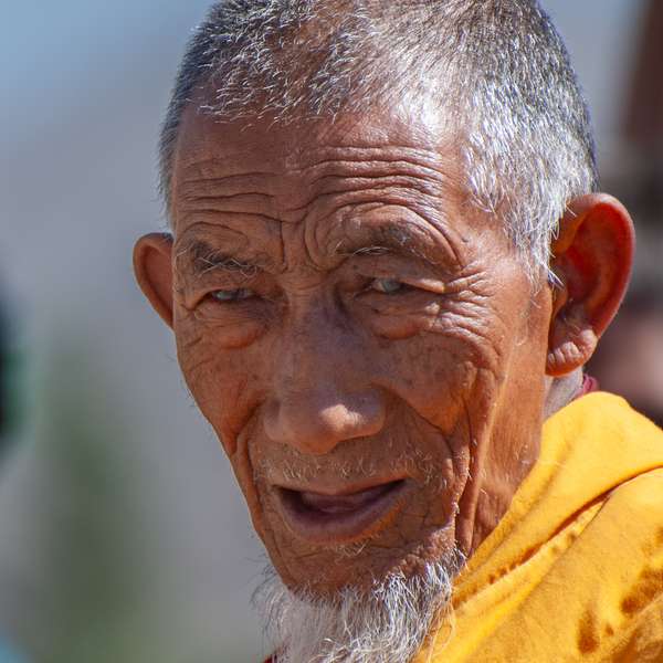 Indien: Ladakh – Zanskar (Menschenbilder): Bild 13