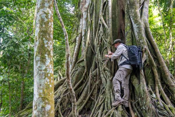 Laos (Landschaften): Bild 11